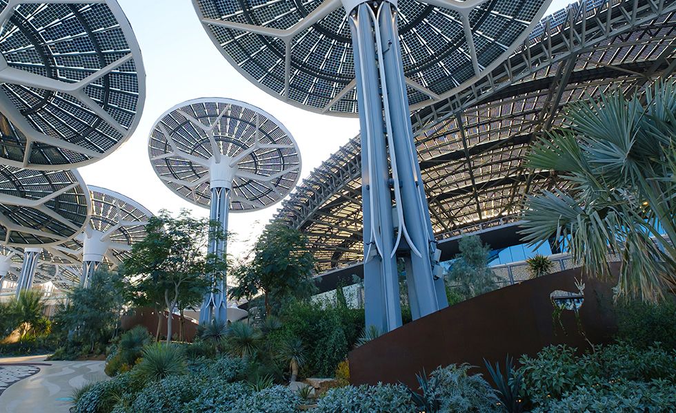 Ultimate Guide to Green Living Spaces