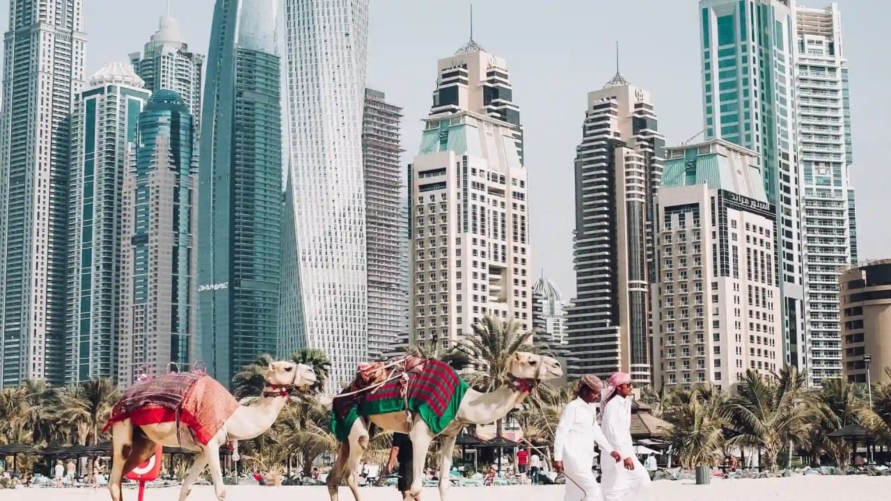 Invest in Dubai
